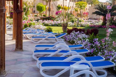 Otelin havuzunun yanında güneşleniyorlar.