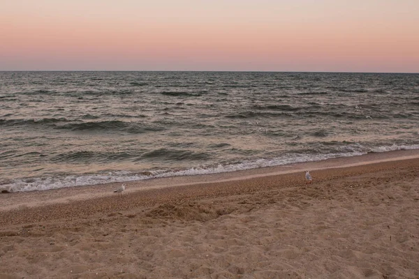 夕方には砂浜があり — ストック写真