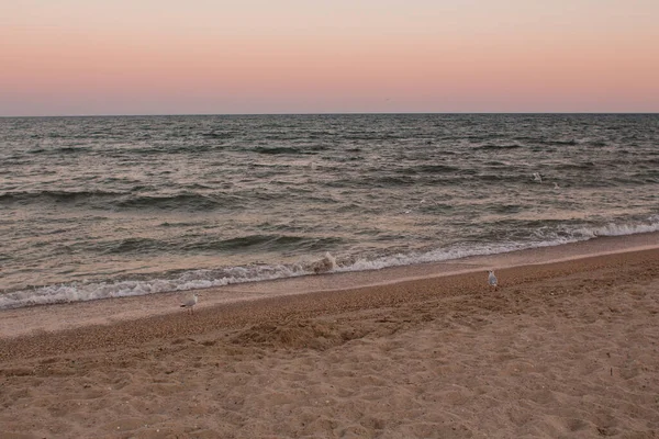 Una Spiaggia Mare Sabbioso Sera — Foto Stock