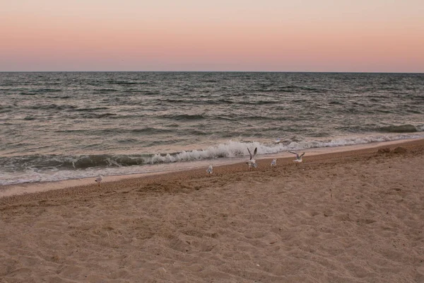 夕方には砂浜があり — ストック写真