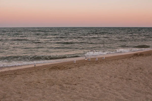 夕方には砂浜があり — ストック写真