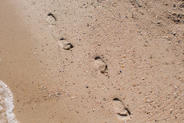 Footprints Sandy Shore — Stock Photo, Image