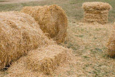 Yazın çayır tarlasında saman yığınları