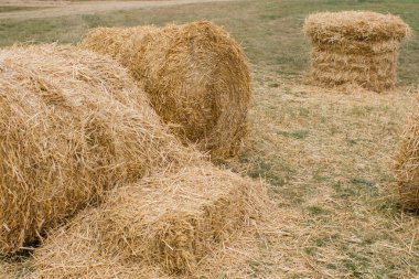Yazın çayır tarlasında saman yığınları