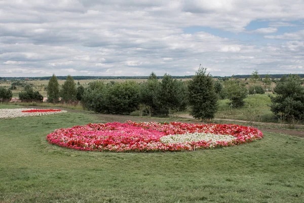 Παρτέρια Λουλουδιών Φυτεμένα Αγρούς — Φωτογραφία Αρχείου