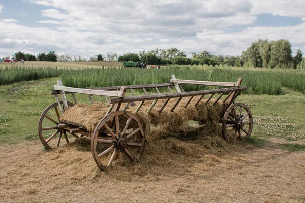 Vieux Chariot Bois Dans Champ Été — Photo