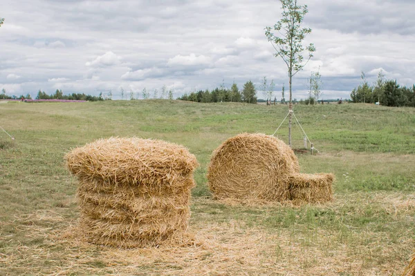 Meules Foin Dans Champ Sur Prairie Été — Photo