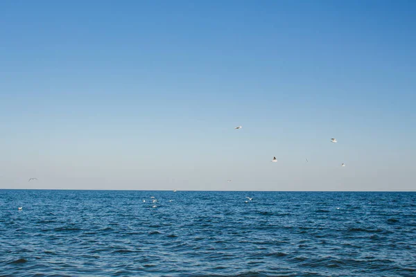 Una Playa Arena Marina Contra Cielo Azul — Foto de Stock