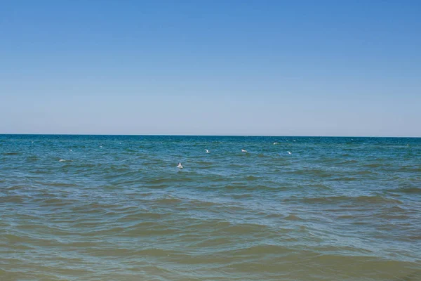 Морський Піщаний Пляж Тлі Блакитного Неба — стокове фото