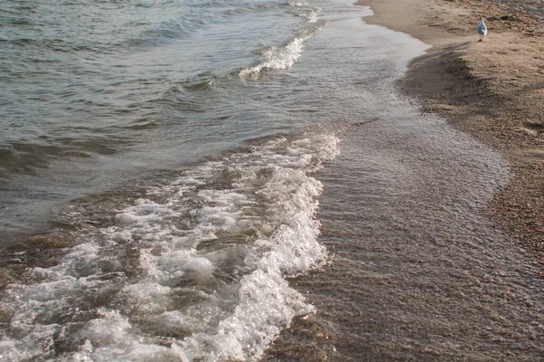 Una Spiaggia Sabbiosa Con Acqua Mare Limpida — Foto Stock