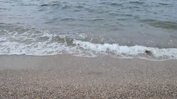 Yazın Kumlu Sahilde Deniz Dalgaları — Stok video