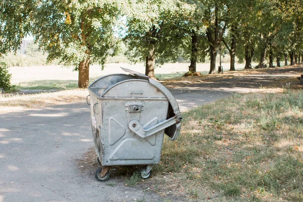 Une Grande Poubelle Dans Forêt — Photo