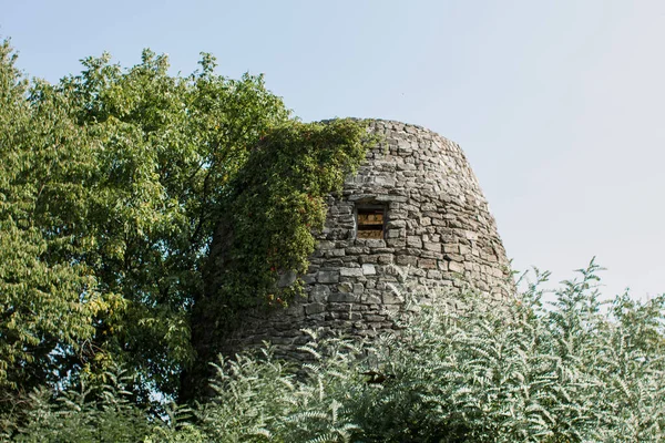 Wysoka Kamienna Wieża Oknem Lesie — Zdjęcie stockowe