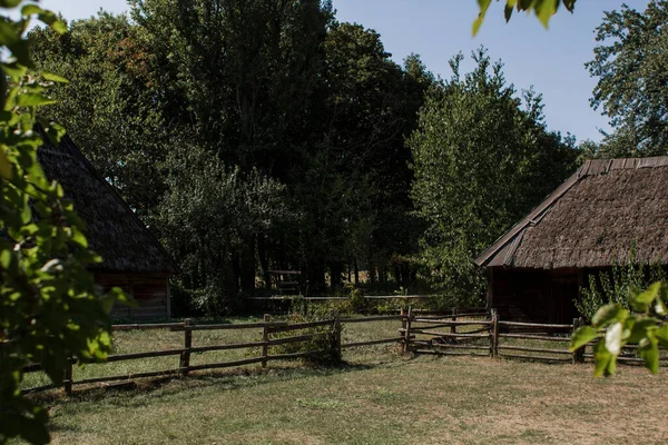 Starý Dřevěný Plot Mýtině Obci — Stock fotografie