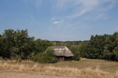 Ormanda eski bir sazdan kulübe.