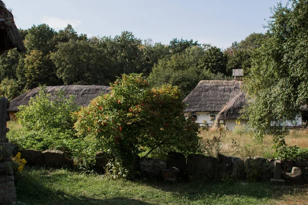 Una Vieja Casa Campo Paja Bosque — Foto de Stock