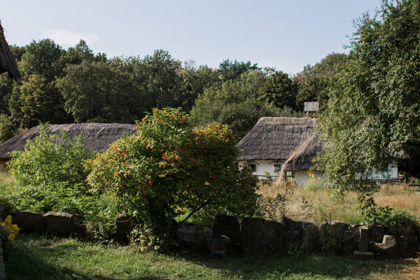 An old thatched cottage in the forest
