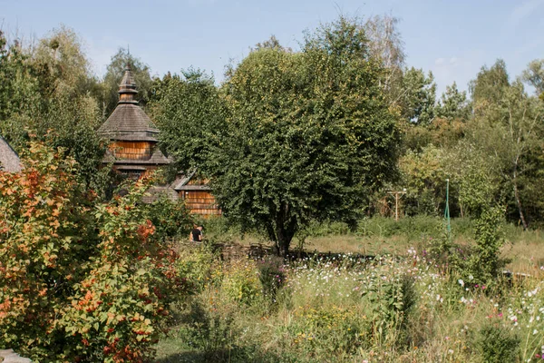 Gammal Träkyrka Skogen — Stockfoto