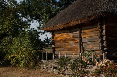 Ormanda eski bir sazdan ev
