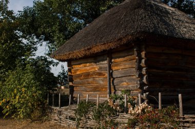 Ormanda eski bir sazdan ev
