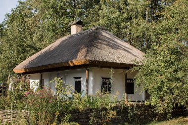 Ormanda eski bir sazdan ev