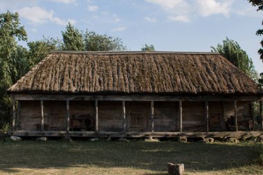 Ormanda eski bir sazdan ev