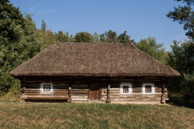 Ormanda eski bir sazdan ev