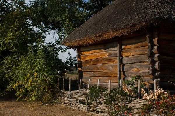 Ormanda eski bir sazdan ev