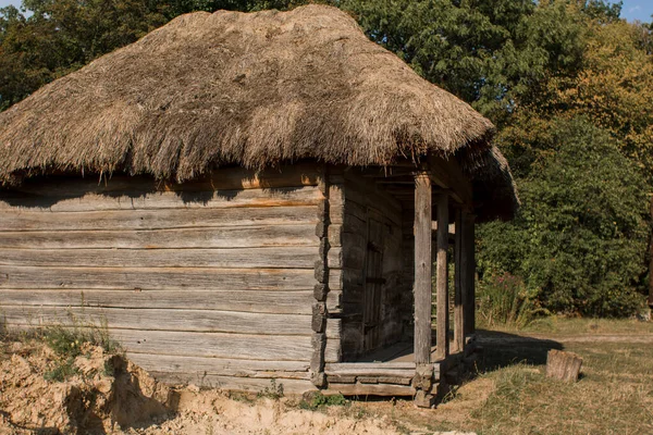 Ormanda eski bir sazdan ev