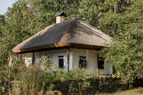 Ormanda eski bir sazdan ev