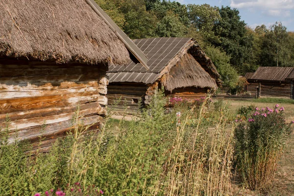 Old Thatched House Forest — Stock Photo, Image