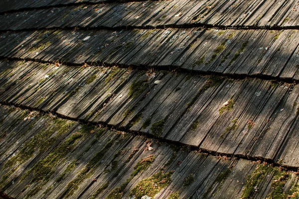 Stary Drewniany Dach Domu Lesie — Zdjęcie stockowe