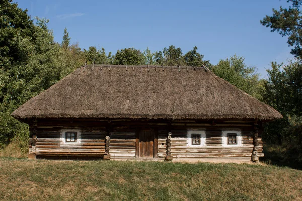 森の古い茅葺きの家 — ストック写真
