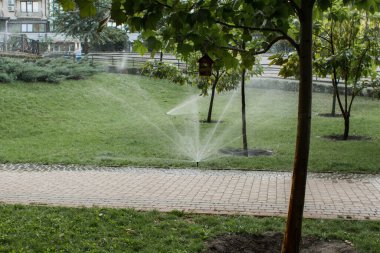 Parkta çimenlik fıskiyeler ve güzel otlar