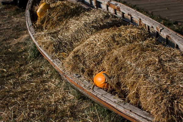 Hooizolder Ligt Een Rijpe Pompoen — Stockfoto