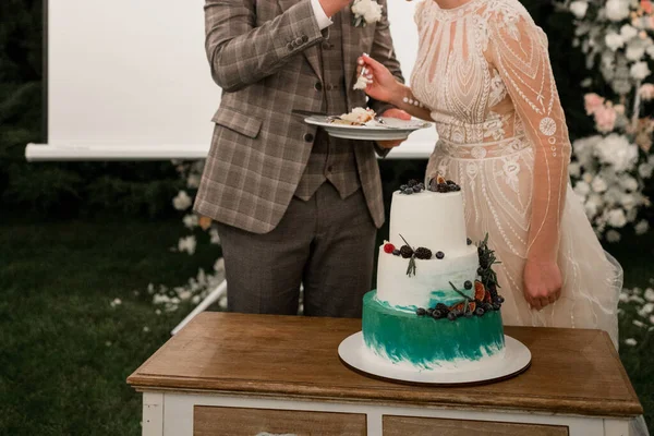 Una Sposa Uno Sposo Tagliano Torta Nuziale — Foto Stock