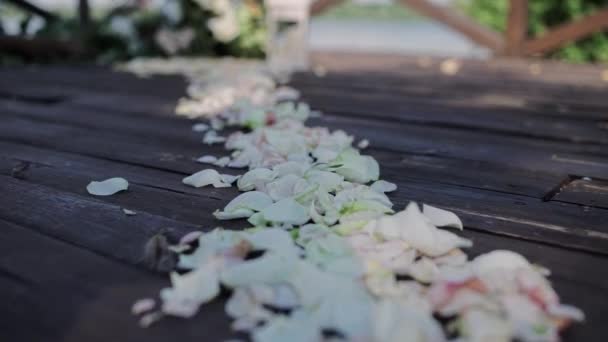 Traseu Petale Trandafir Nuntă — Videoclip de stoc