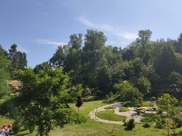 Landscape Design Park Stairs Summer — Stock Photo, Image