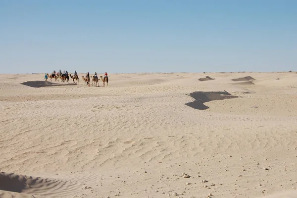 Песчаные Дюны Пустыни Сахара Африке — стоковое фото