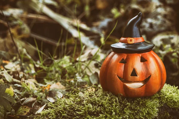 Halloween tök őszi erdőben moha. Őszi szezon hangulat fotó szezonális ünneplés — Stock Fotó