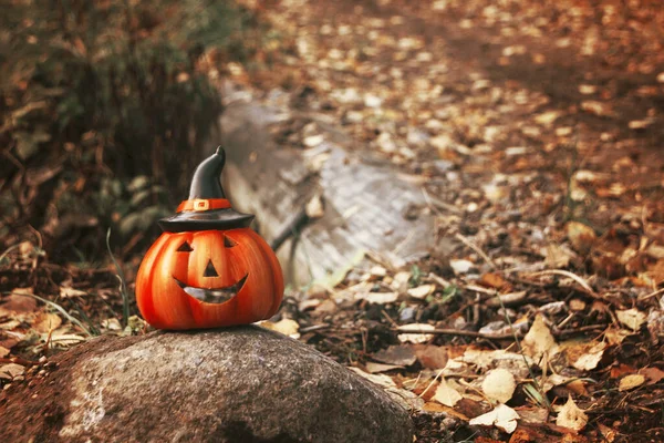 Halloween tök őszi erdő és az út mögött. Őszi szezon hangulat fotó — Stock Fotó