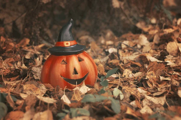 Halloween tök őszi erdőben hulló levelek. Őszi szezon hangulat fotó — Stock Fotó