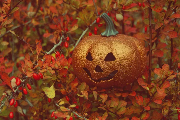 Ragyogó halloween tök őszi levelekben. Őszi hangulat háttér — Stock Fotó