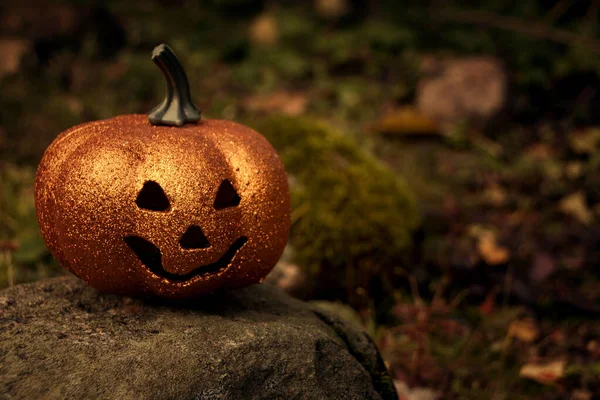 Csillogó tök az őszi erdőben. Halloween hangulat háttér — Stock Fotó