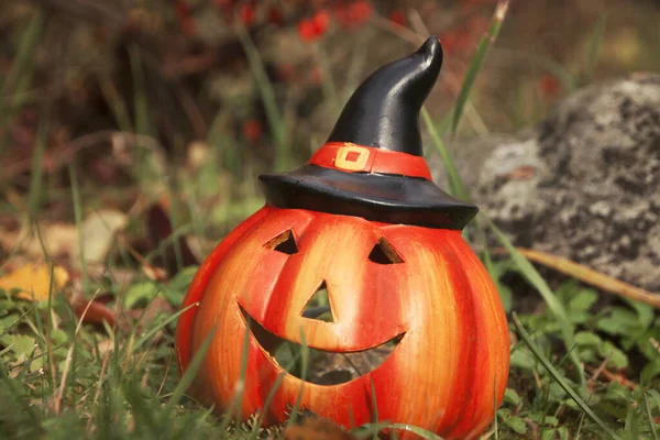 Halloween tök a vadonban. Őszi hangulat. Őszi mágikus jelenet — Stock Fotó