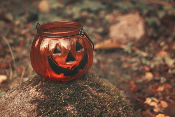 Halloween sütőtök gyertyatartó őszi erdő fotó — Stock Fotó