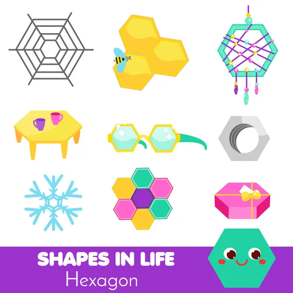 Shapes Life Hexagon Learning Cards Kids Educational Infographic Children Toddlers — Stock Vector