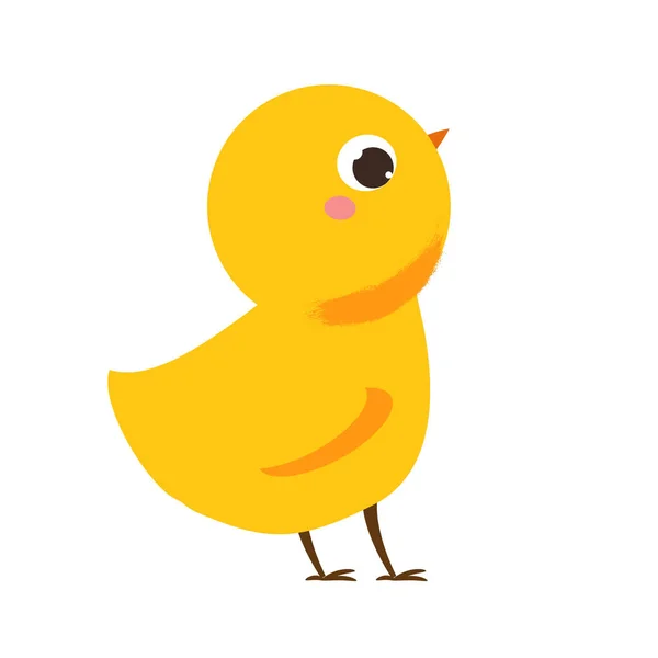 Roztomilé Kuře Karikatura Malý Kuřátko Pták Izolovaný Bílém — Stockový vektor