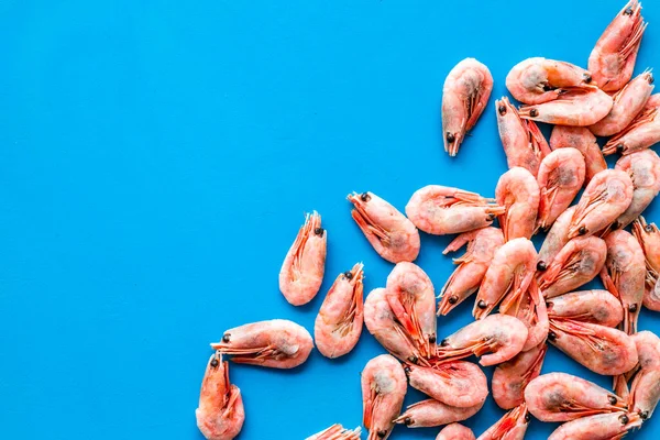 Prawn background on blue table top view frame copy space — Stock Photo, Image