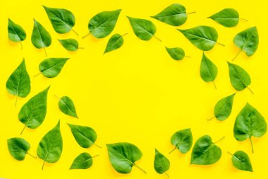 Yeşil yapraklardan oluşan üst çerçeve. Doğa konsepti düzeni